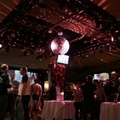 sfMacIndie2010 306